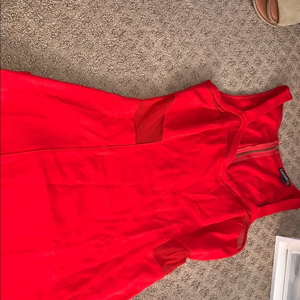 EXPRESS dress
